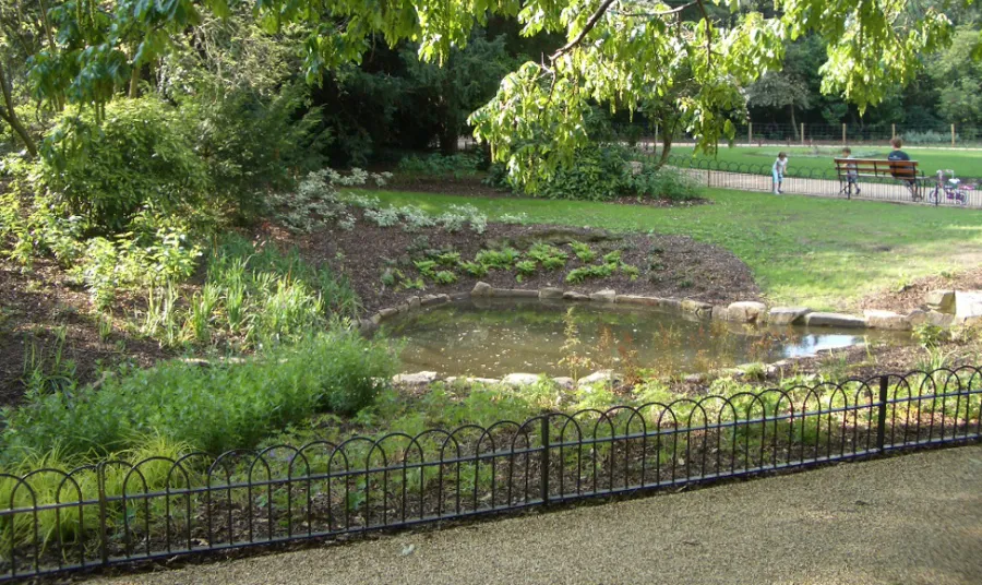Pond and park bench in Peckham Rye Park