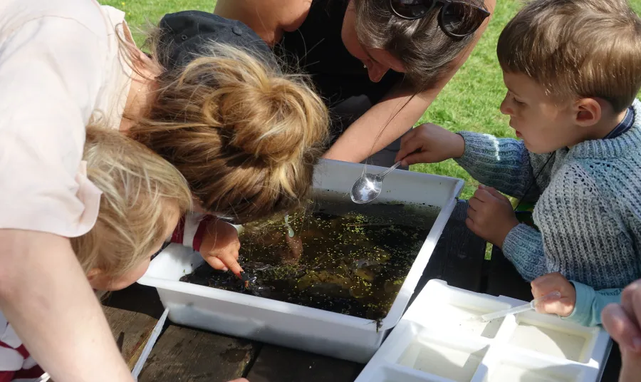 Young people pond dipping looking for amphibians