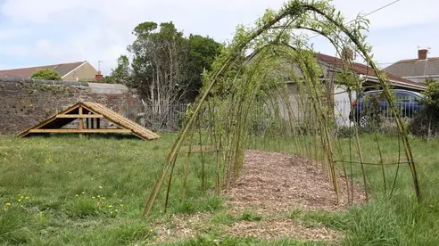 A children's play park with a living willow tunnel and a wooden climbing frame