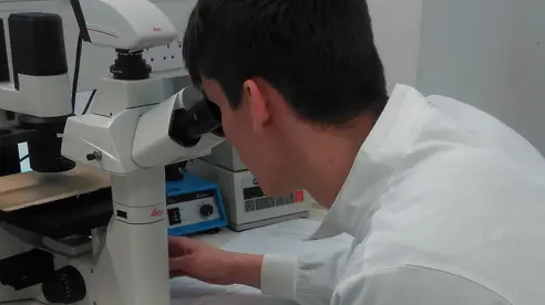 Someone in a lab looking into a microscope