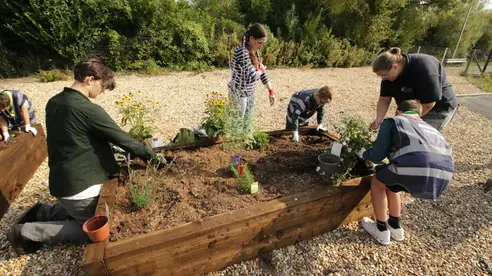 A group of children and adults adding plants to a planter