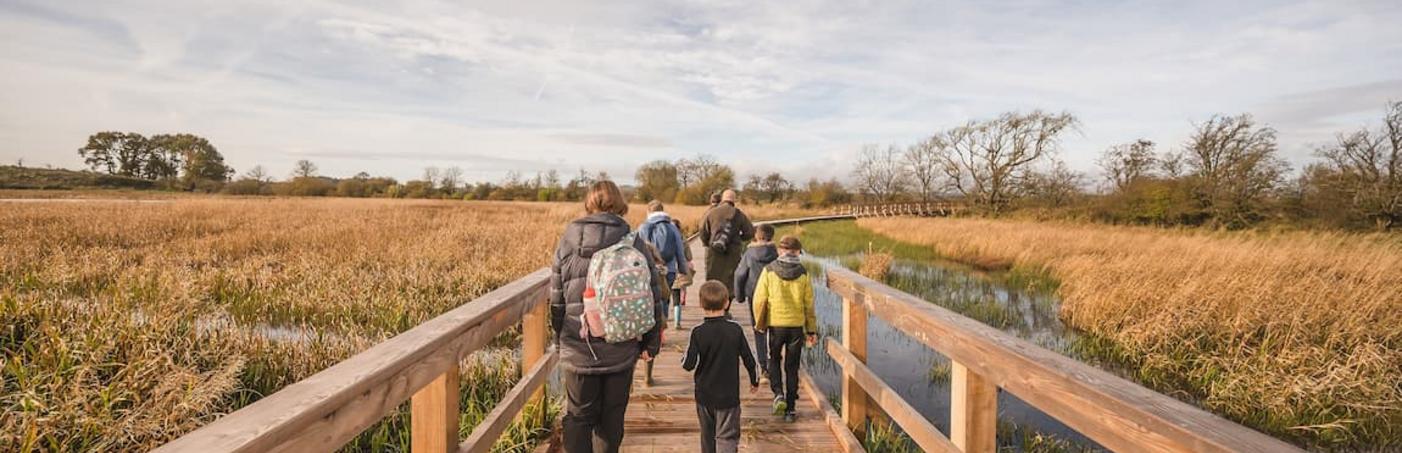 Adults and children are walking along a long bridge which is surrounded by grass and a lake.