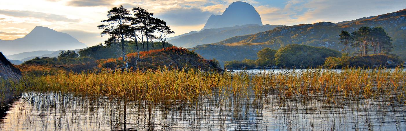 Nature and landscapes guidance | The National Lottery Heritage Fund