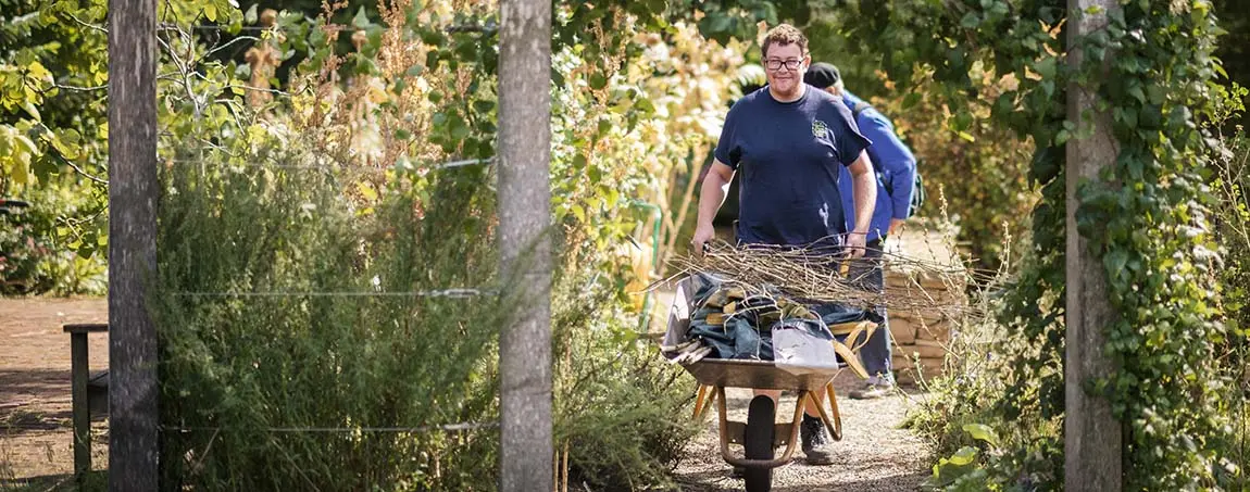A person pushing a wheelbarrow in a garden