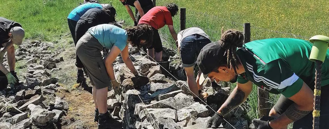 Eight people building a wall with large stones