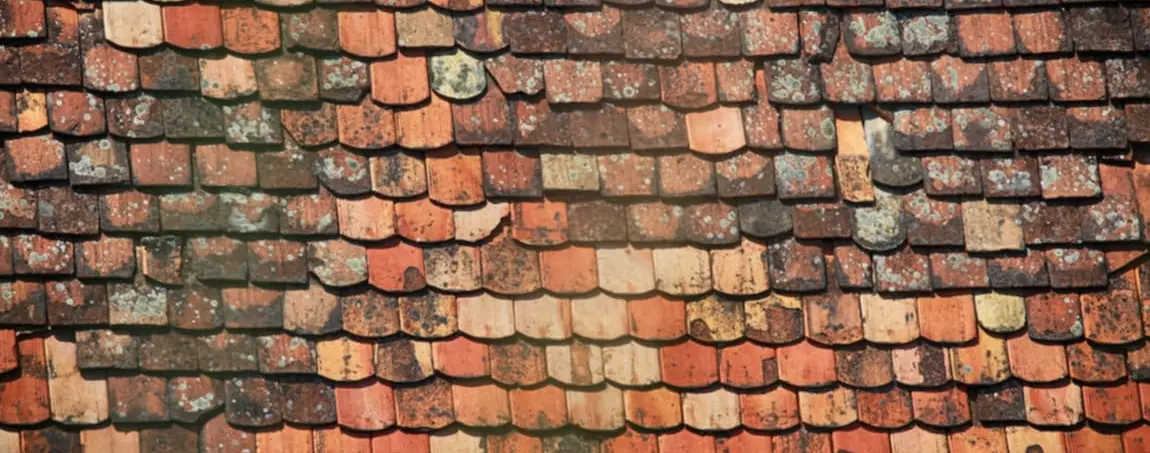 roof-tiles.jpg roof-tiles.jpg