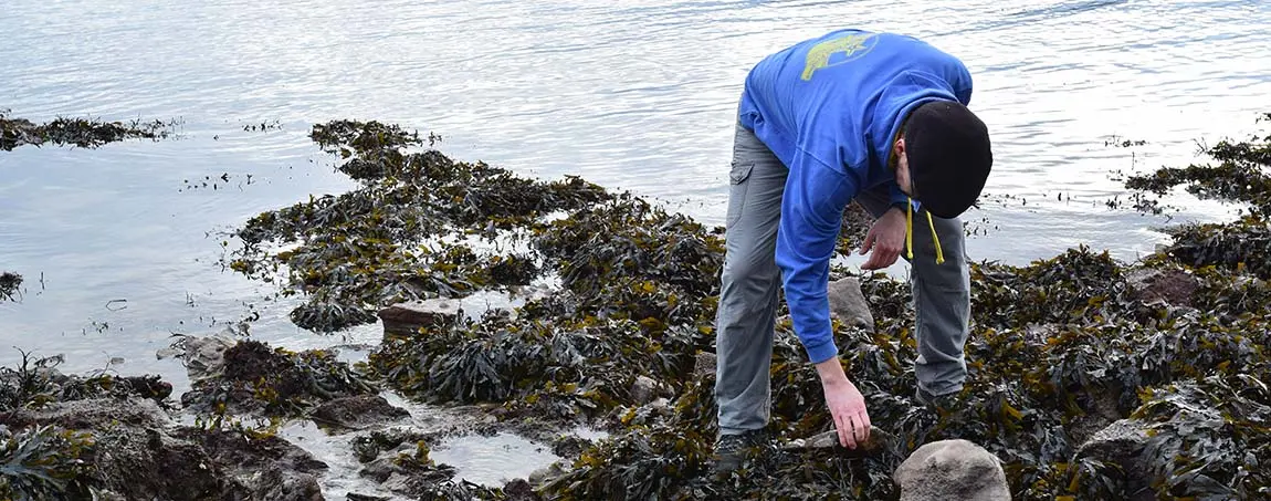 A person looking at a rockpool