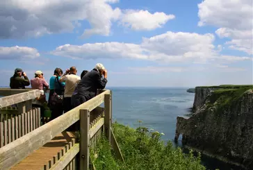 People stand on walkway and look out over cliff