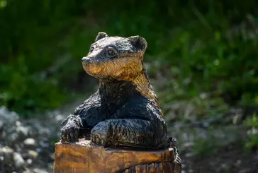 A wooden badger sculpture