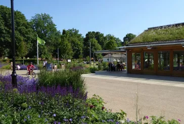 Green roof of cafe