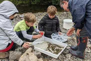 Children surround a collecting tray next to a riverbank, looking for animal and insect species