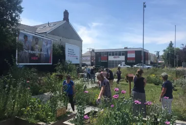 People tending to an urban garden
