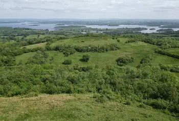 An aerial view of the Fedian fields