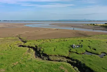 A group of conservationists gather on the salt marshes bordering the Solway Firth. In the distance, the waters of the Firth and mountains can be seen on the horizon.