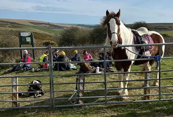 A horse looking over a fence in front of a group of people sitting in a field