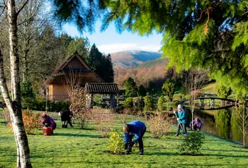 Pobl yn tirlunio yn yr Ardd Japaneaidd yn Cowden, yr Alban