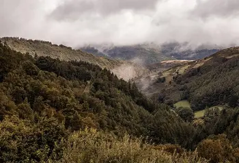 Woodland in a valley