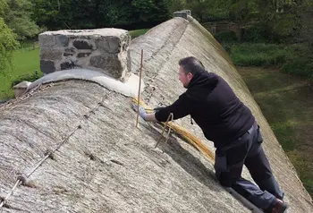 A thatcher at work up a ladder on a thatched roof, applying new materials to the surface.