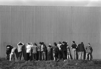 A group of young boys sneak a view through gaps in a Belfast peace wall.