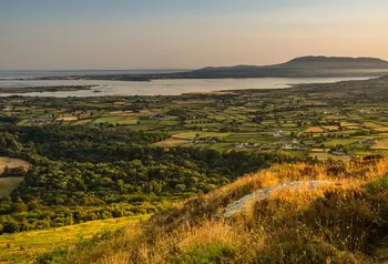 View from Knockchree hill as the sun rises over woodland towards the Irish Sea