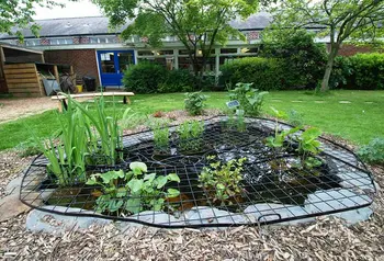 A small pond with a grate over it and plants going through it, created in the quad of a primary school in Ladybarn, Manchester