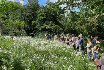 People engaging with nature
