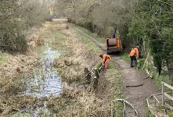 Workers chop down trees overhanging a stretch of overgrown canal