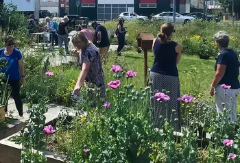 A group of people standing in and looking at a garden with grass and flowers in an urban neighbourhood