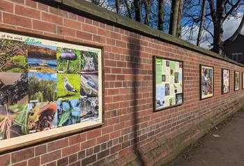 Exhibition panels along a brick wall featuring photographs and information on the Meanwood Valley's biodiversity.