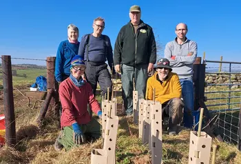 A group of volunteers pose behind some newly planted saplings, which are protected with tubing.