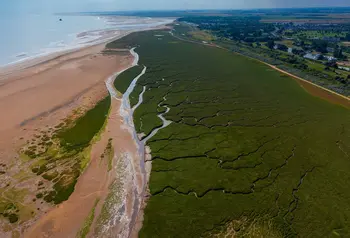 Looking over salt marsh on Cleethorpes coast. 
