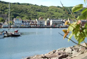 A view across Tarbert harbour, in the foreground to the right are some leaves and a rocky foreshore. To the left is a jetty and a yacht. IN the background harbour front building with hill behind them.
