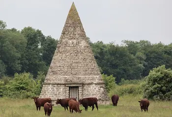 Lincoln Red cattle graze fields in front of a stone ornamental feature shaped like a pyramid
