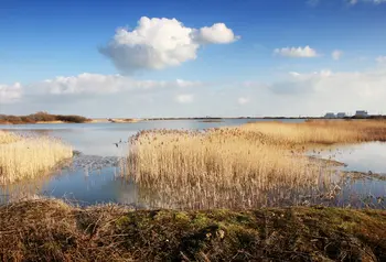 view of Dungeness in South Kent