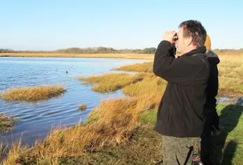 Birdwatching at Upton Heath