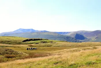 Guided walk at Eycott Hill Nature Reserve
