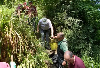Volunteers help to clean the springs at Ninesprings