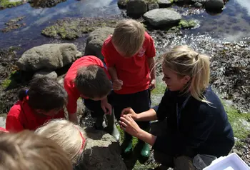 Future fossil hunters? Leweston schoolchildren rockpooling at Lyme