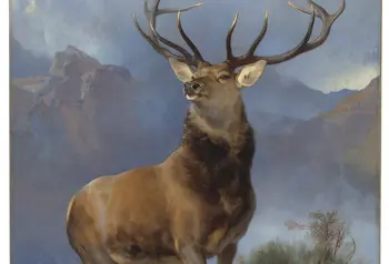 Landseer's picture of The Monarch of the Glen, 1851