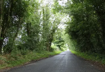The evocative Lagans Road, from the poem 'Edward Thomas on the Lagans Road'