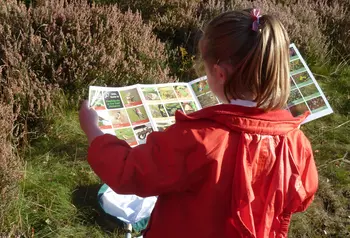 A young volunteer uses a photographic guide at Strawberry Heath Nature Reserve, Rainworth