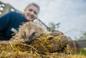 Hedgehog Officer Ali North with a hedgehog