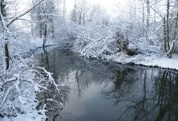 Hampshire's River Itchen
