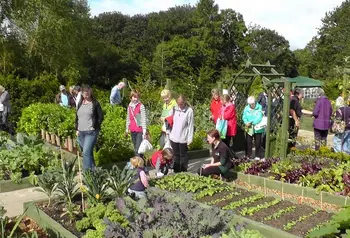 People visiting the Dig For Victory First World War allotment
