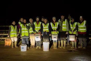 Volunteers collect toads in buckets to carry safely across roads