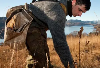 A person plants a tree sapling