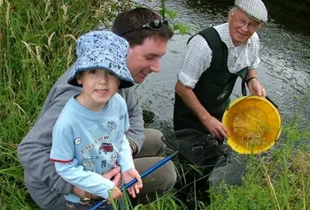 Participants examining freshwater pearl mussels