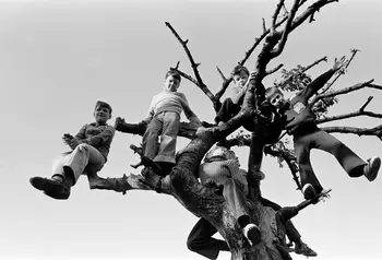 A black and white photo of children sitting in the branches of a tree