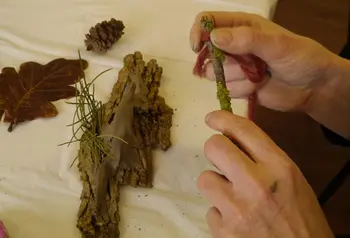 Participant feeling a piece of bark along with other items from the natural environment