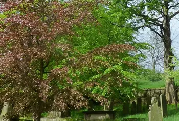 Raikes Road Burial Ground